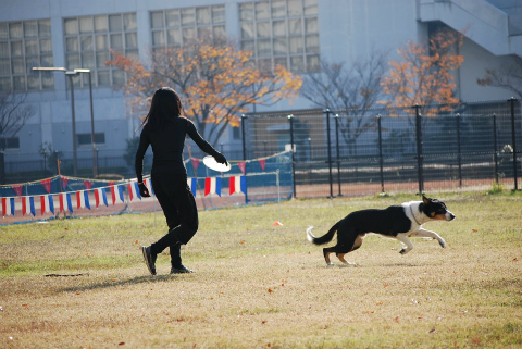DSC_0179.jpg