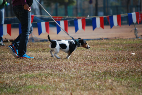 DSC_0217.jpg