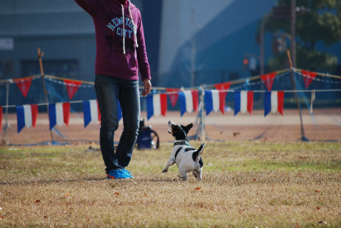DSC_0221.jpg