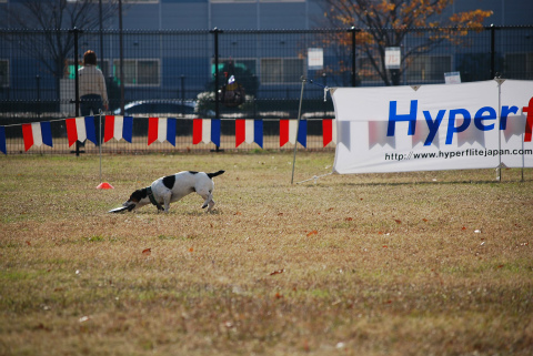 DSC_0223.jpg