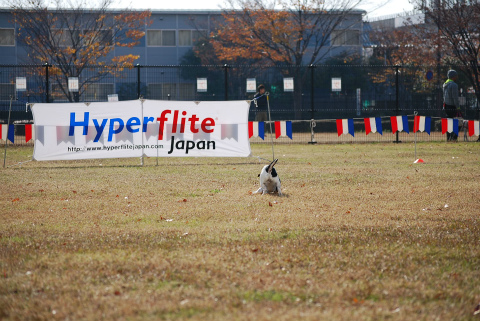 DSC_0224.jpg