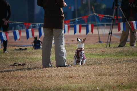 DSC_0241.jpg