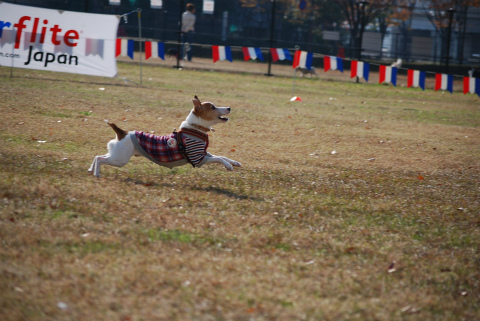DSC_0246.jpg
