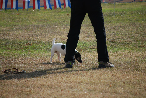DSC_0261.jpg