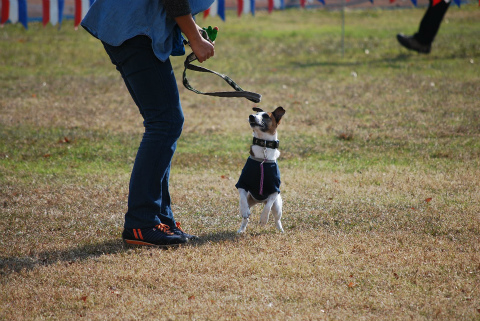 DSC_0263.jpg