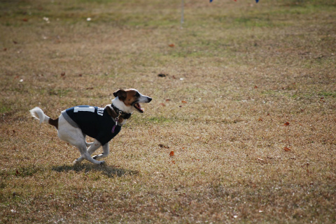 DSC_0271.jpg