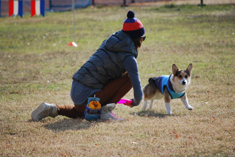 DSC_0289.jpg