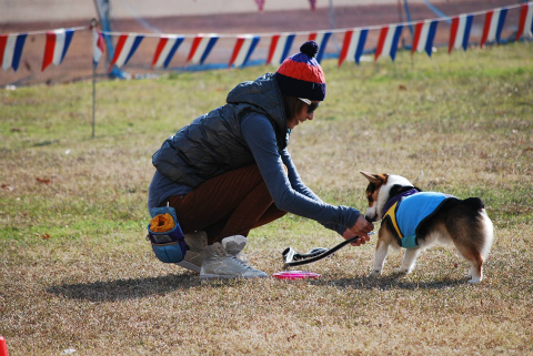 DSC_0290.jpg