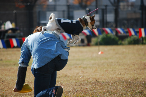 DSC_0303.jpg