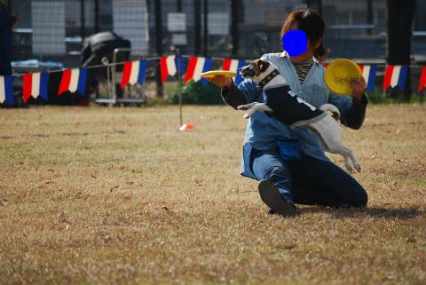 DSC_0320.jpg