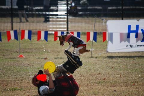 DSC_03291.jpg