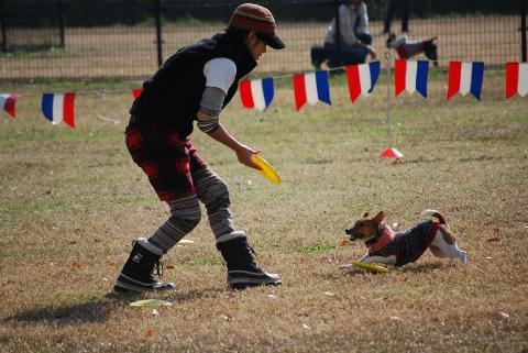 DSC_03391.jpg
