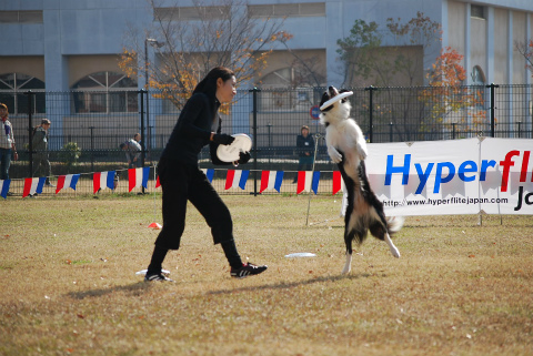 DSC_0404.jpg