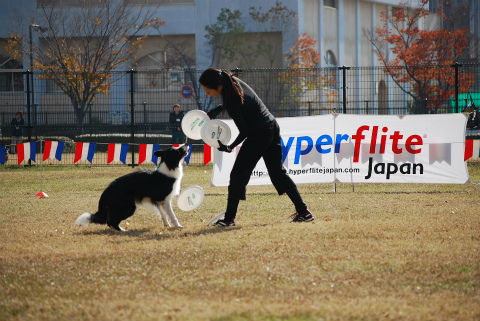 DSC_0405.jpg