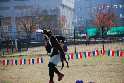 DSC_0424.jpg