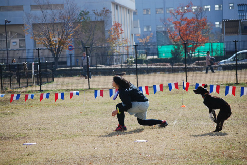 DSC_0429.jpg