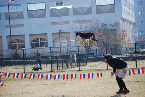 DSC_0430.jpg