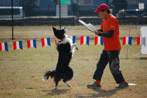 DSC_0471.jpg
