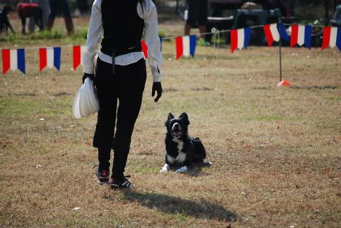 DSC_0487.jpg
