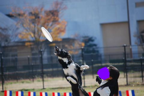 DSC_0498.jpg