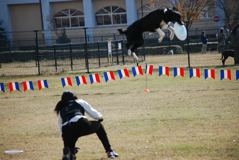 DSC_0499.jpg