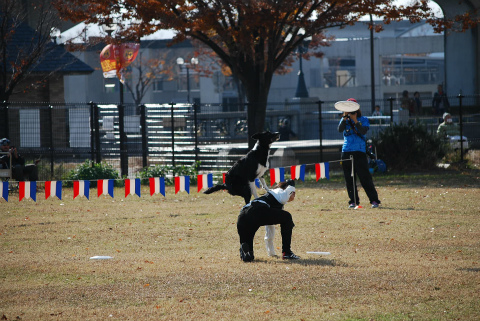 DSC_0520.jpg
