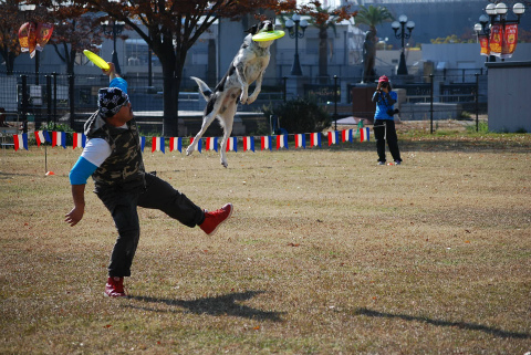 DSC_0542.jpg