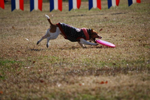 DSC_0555.jpg