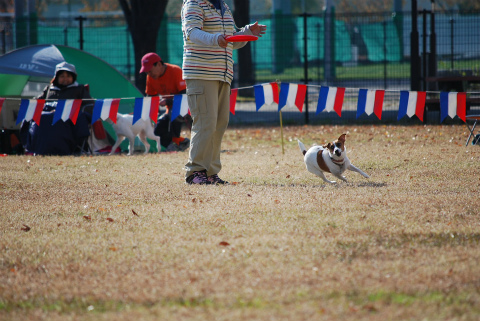 DSC_0562.jpg