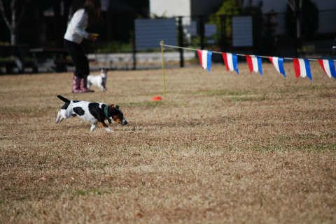 DSC_0571.jpg