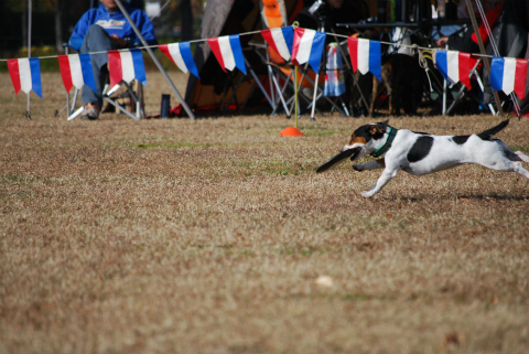 DSC_0577.jpg