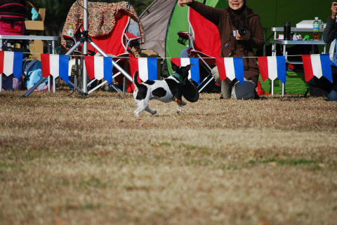 DSC_0586.jpg