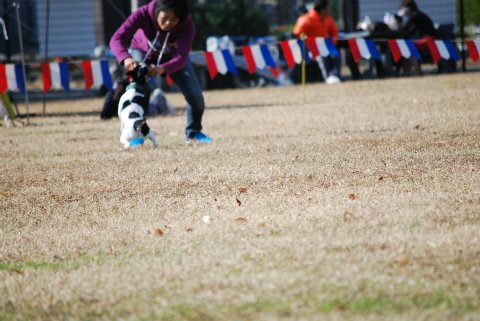 DSC_0588.jpg