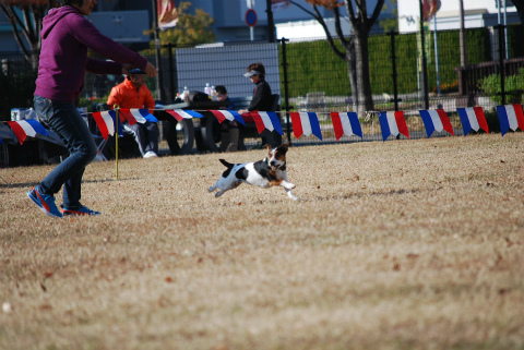 DSC_0589.jpg