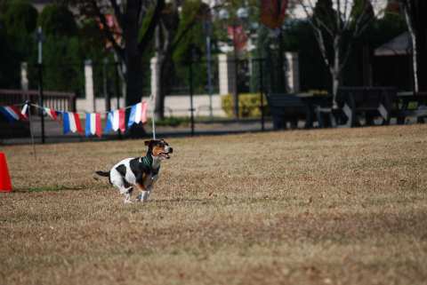 DSC_0590.jpg