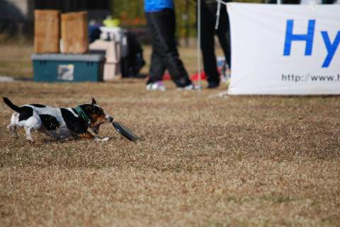 DSC_0592.jpg