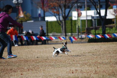 DSC_0596.jpg