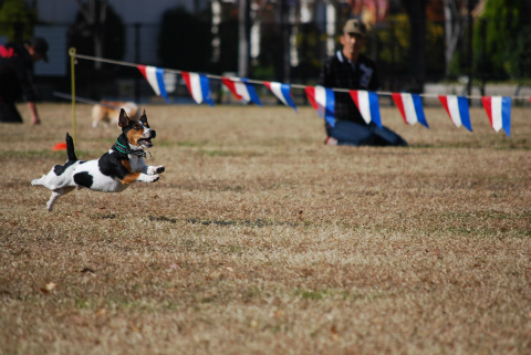 DSC_0598.jpg