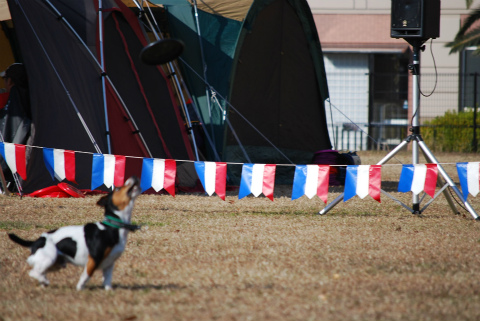 DSC_0599.jpg