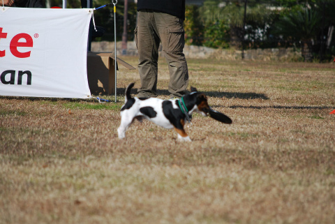 DSC_0602.jpg