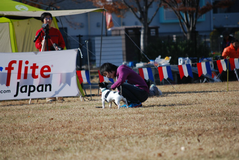 DSC_0604.jpg