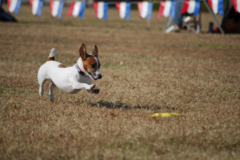 DSC_0610.jpg