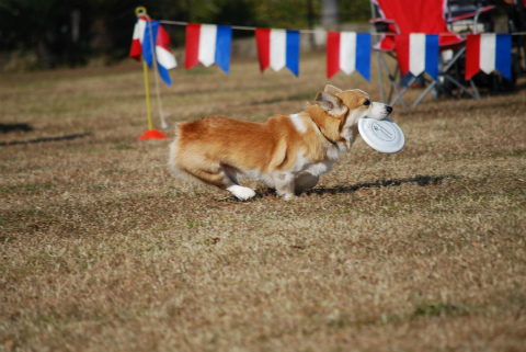 DSC_0622.jpg