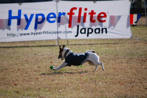 DSC_0675.jpg