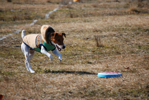 DSC_0857.jpg