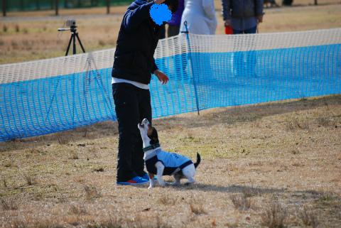 DSC_0897.jpg
