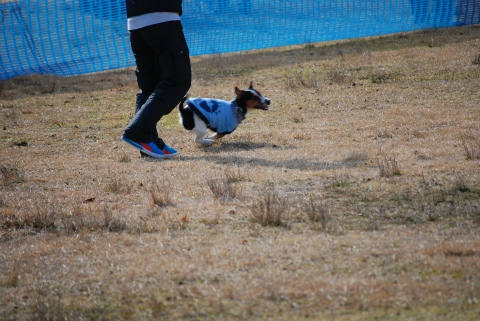 DSC_0899.jpg