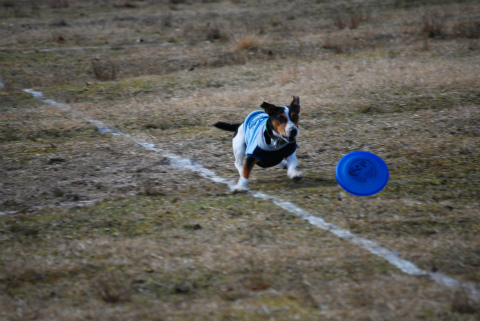 DSC_0901.jpg