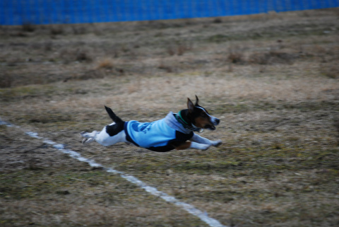 DSC_0908.jpg