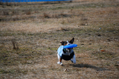 DSC_0915.jpg